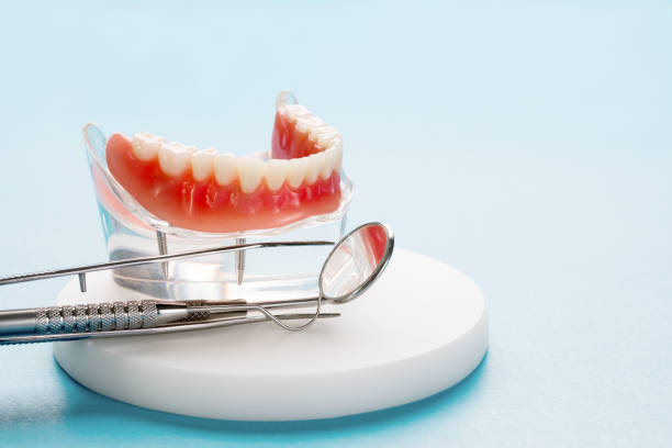 Best Preventive Dentistry  in Lower Burrell, PA